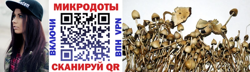 Псилоцибиновые грибы прущие грибы  Афипский 